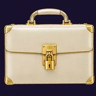 Locked leather briefcase — Tropic Slots